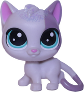 No # Cat "Lemon Fluff"